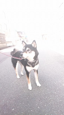 20190329_131534780.jpg