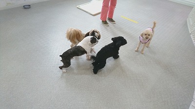 IMG_20190329_113510.jpg
