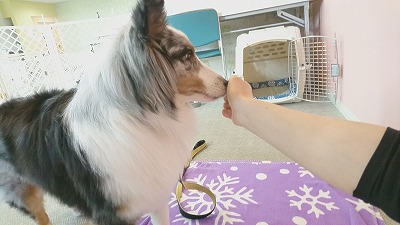 IMG_20190329_145543.jpg