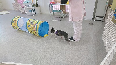 IMG_20190329_163734.jpg