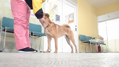 MOV_5765_000019.jpg