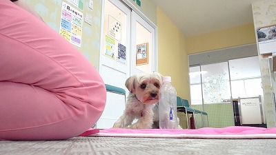 MOV_5771_000211.jpg