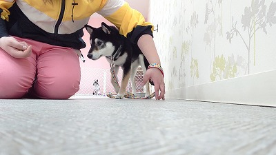 MOV_5778_000042.jpg