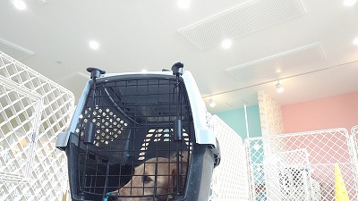 MOV_5785_000144.jpg