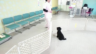 VIDEO_20190329_123130_000142.jpg