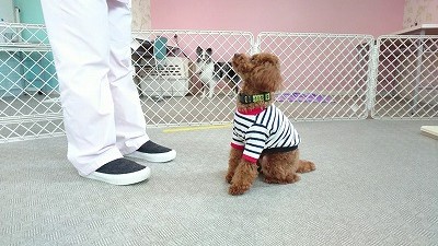 VIDEO_20190329_141430_000051.jpg