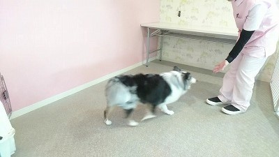 VIDEO_20190329_150219_000111.jpg