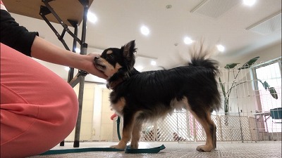 93F08973-.jpg