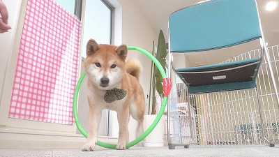 MOV_6208_000006.jpg
