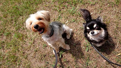 20190711_110251570.jpg