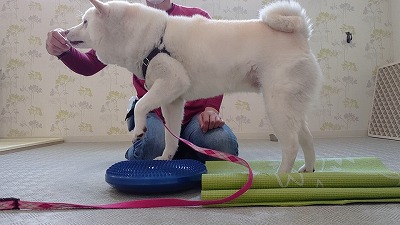 MOV_1399_000019.jpg
