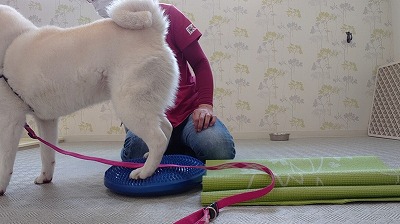 MOV_1399_000130.jpg