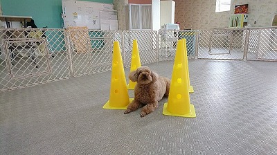 VIDEO_20190711_111445_000038.jpg