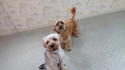 20190919_101816942.jpg