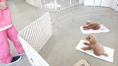 20190919_110639023.jpg