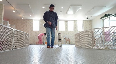 MOV_1715_000142.jpg