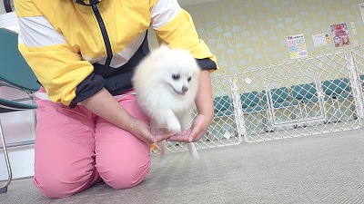 MOV_7673_000143.jpg