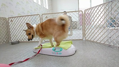 VIDEO_20190919_124326_000104.jpg