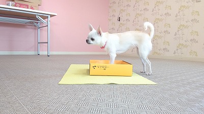 MOV_7680_000115.jpg