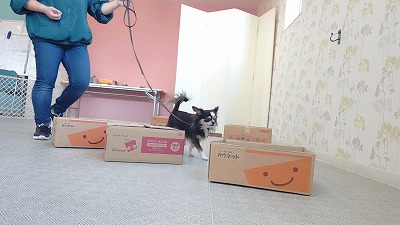 MOV_7682_000021.jpg