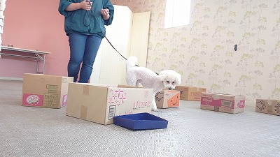 MOV_7684_000025.jpg