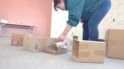 MOV_7685_000047.jpg