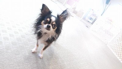 20190929_102009596.jpg