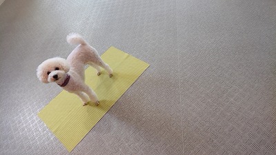20190929_103500144.jpg