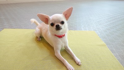 20190929_105559084.jpg