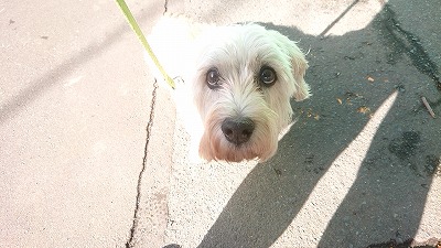 20190929_084407545.jpg