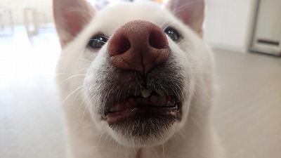 20190929_090258003.jpg