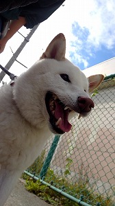 20190929_094021019.jpg