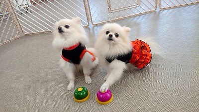 20191010_111302603.jpg