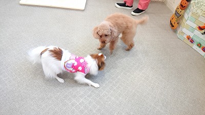 20191010_125126777.jpg