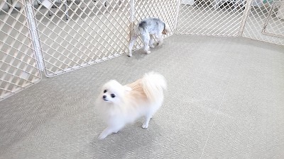 20191010_144915640.jpg