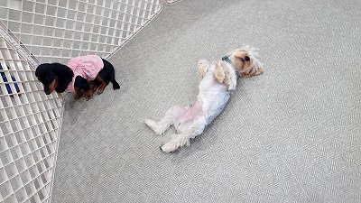 20191010_150518016.jpg