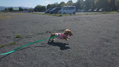 IMG_20191010_105324.jpg