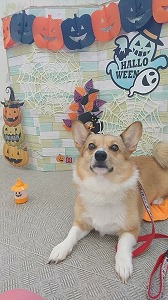 IMG_20191010_115818.jpg