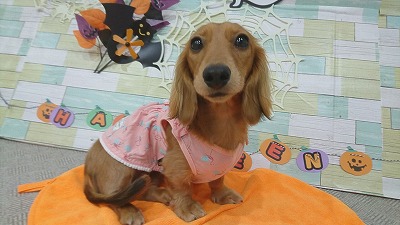 IMG_20191010_163229.jpg