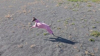 MOV_1959_000123.jpg
