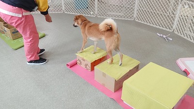 MOV_7851_000039.jpg