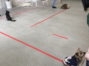 IMG_1724.jpg