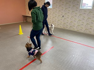 IMG_2028.jpg