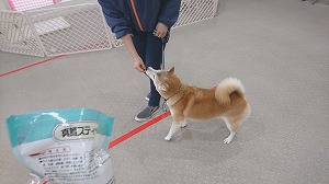 IMG_20200323_122957.jpg