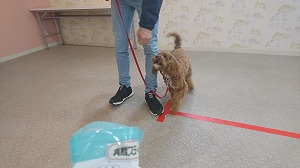 IMG_20200323_123010.jpg