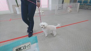 IMG_20200323_123204.jpg