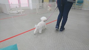 IMG_20200323_123207.jpg