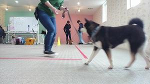 VIDEO_20200323_115246_000219.jpg
