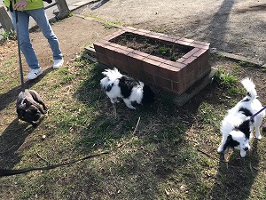 IMG_7552.jpg