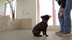 MOV_0427_000217.jpg